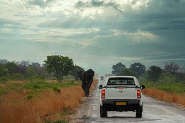 Photo of a truck on a road in Botswana with an elephant approaching in the opposite direction